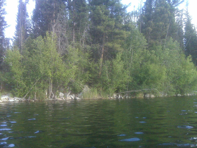 Between The Rope Swing And Dads Cove