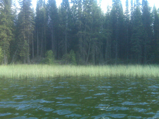 Dads Cove Roche Lake BC 2010