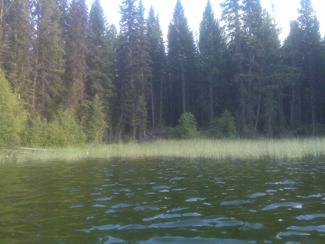 Drifting Into Dads Cove