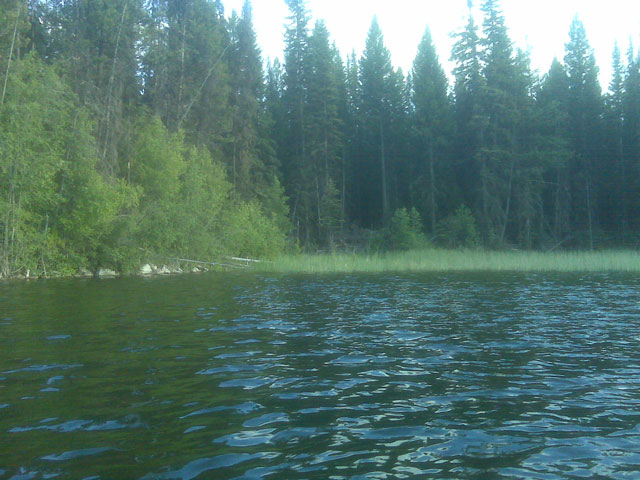 Entering Dads Cove