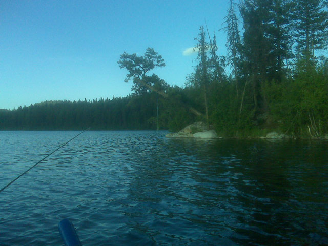 The Rope Swing At Roache Lake July 2010